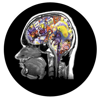 Frontiers in Traumatic Brain Injury 2018