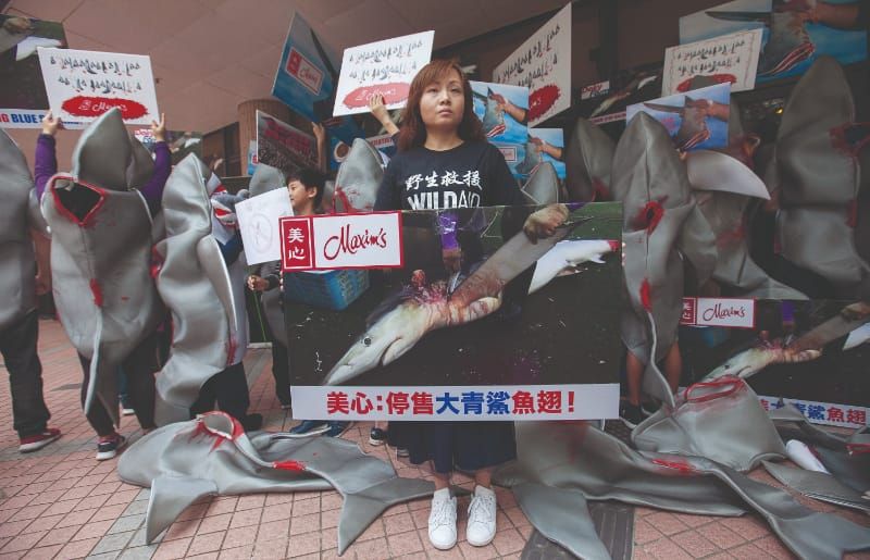 From Jaws to jaws: the impact of shark-fin soup