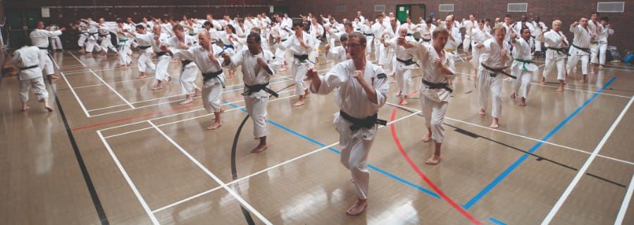 Imperial Union Shorinji Kempo joins international seminar