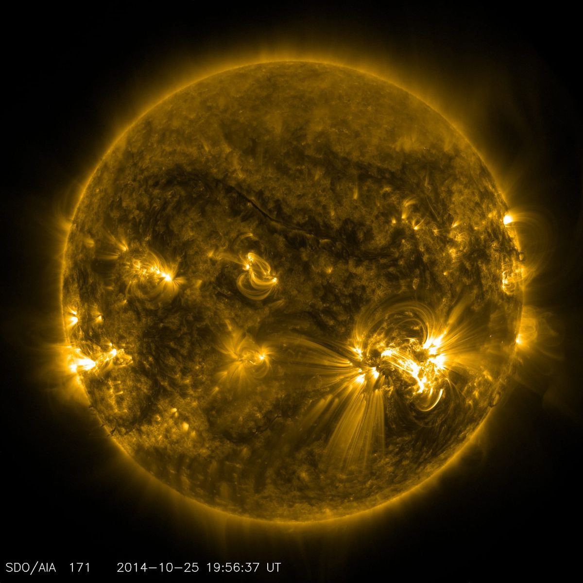 The real star of the show