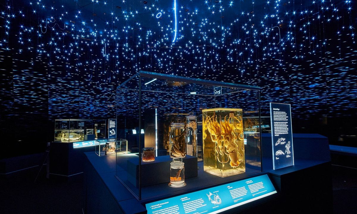 Life in the Dark: a momentary escape from the hustle and bustle of London