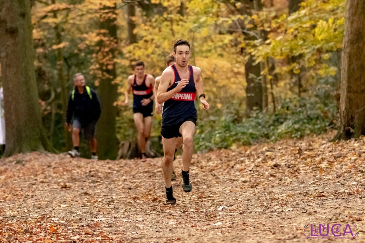 ICXC regain Bannister Cup in final LXCL of 2018