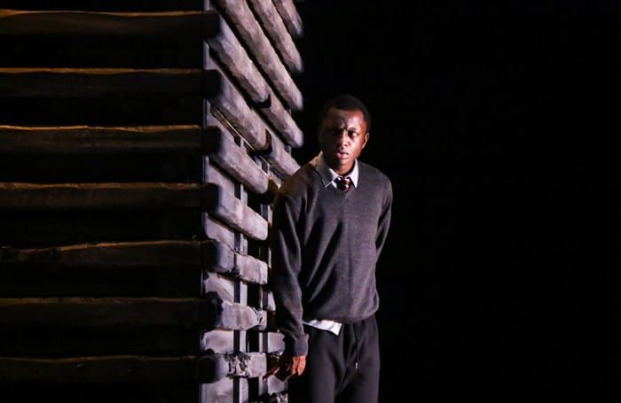 Good Dog: Tales of Dignity in the Cauldron of Poverty