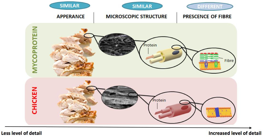 Mycoprotein: a potential beneficial food for people with type 2 diabetes?