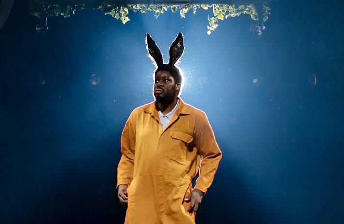 A Midsummer night’s dream