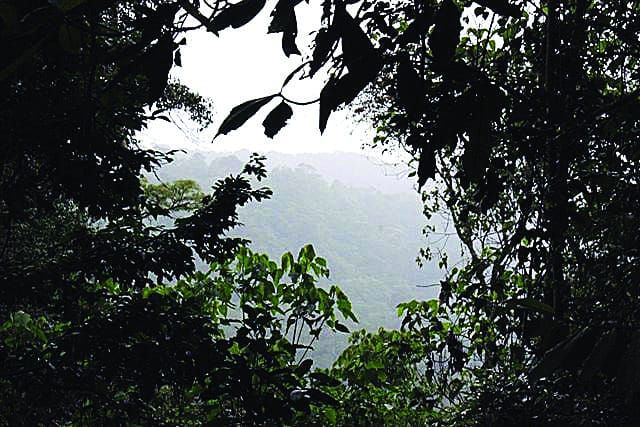 ICE - The way forward?