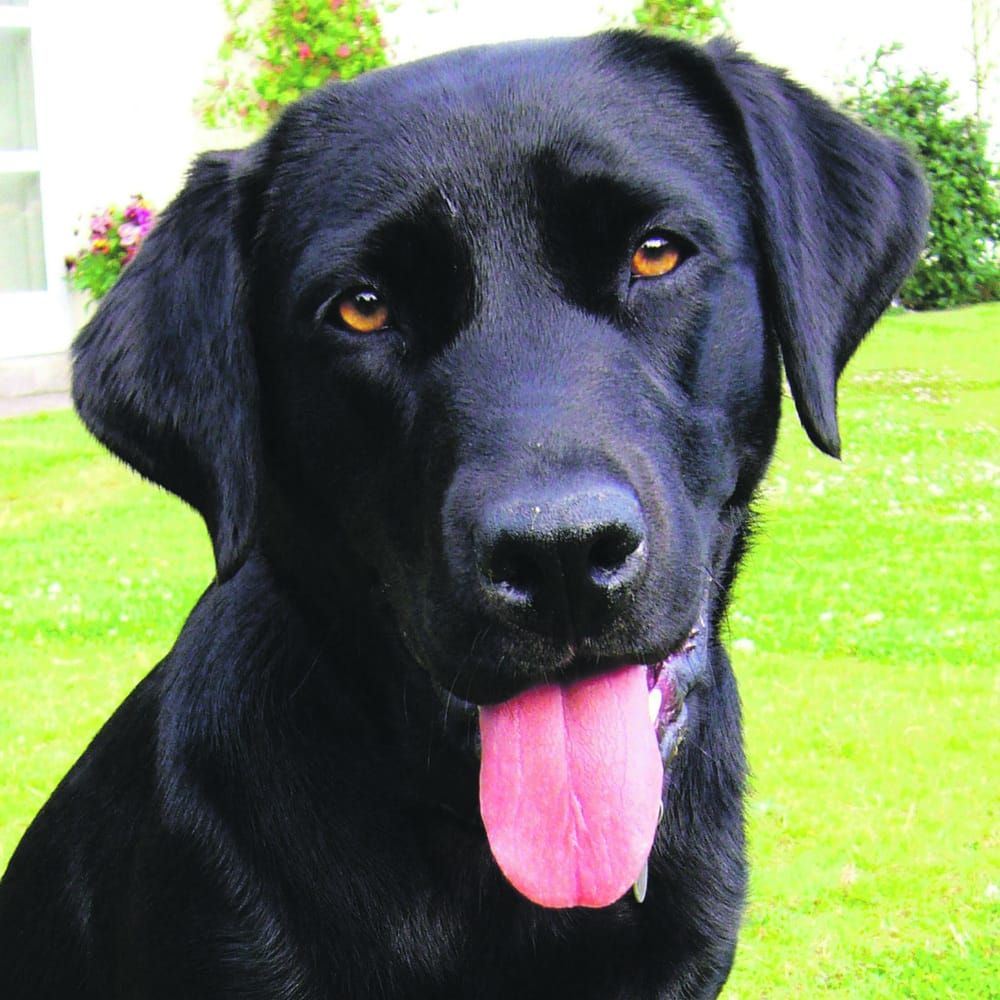 Niche marketing on the net