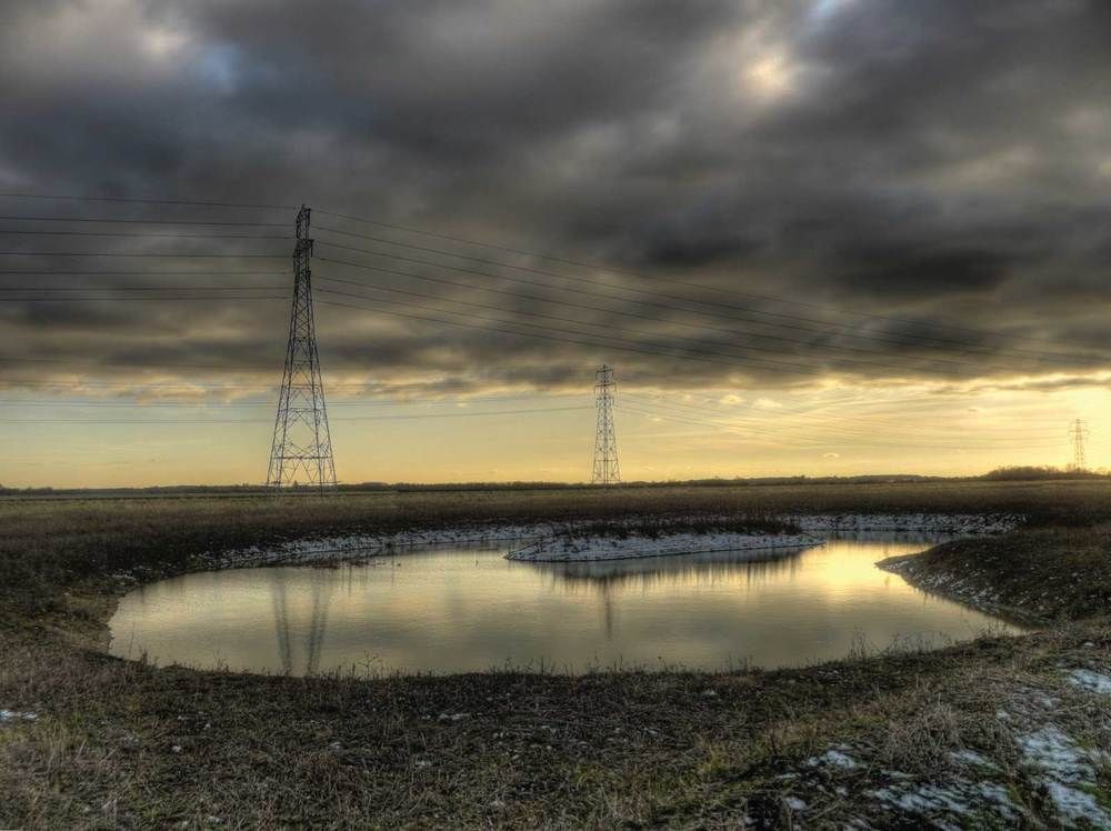 Do the public trust scientists?