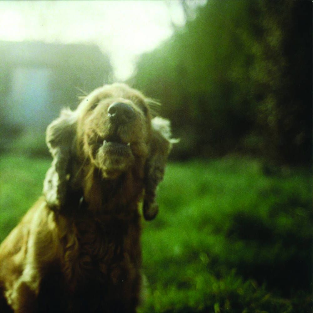 Kadhim's totally hot album of the week #10