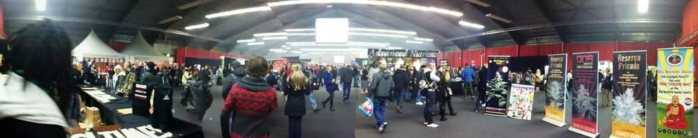 Friends in high places: a Cannabis Cup special