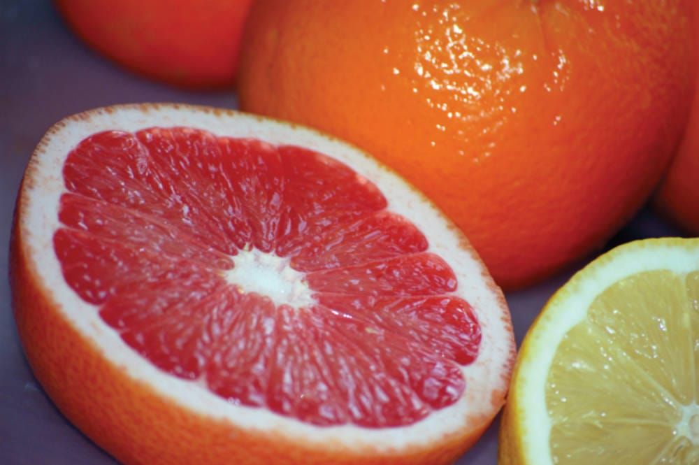 2012: A Food Odyssey