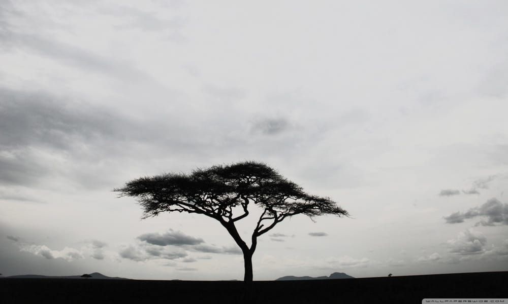 Featured Fiction: Revenge!