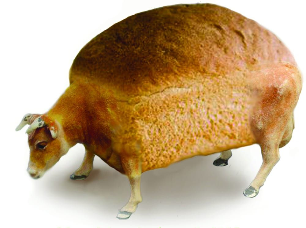 GM debate: dialogue or déjà vu?