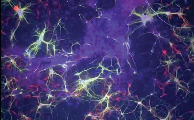 Inventor of confocal microscope develops new giant lens