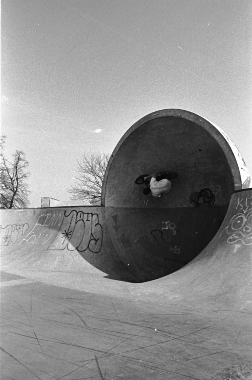 Imperial SB: One term on