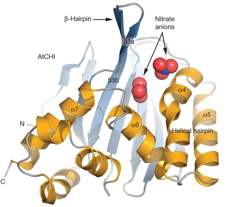 Trio of proteins to ease food demand