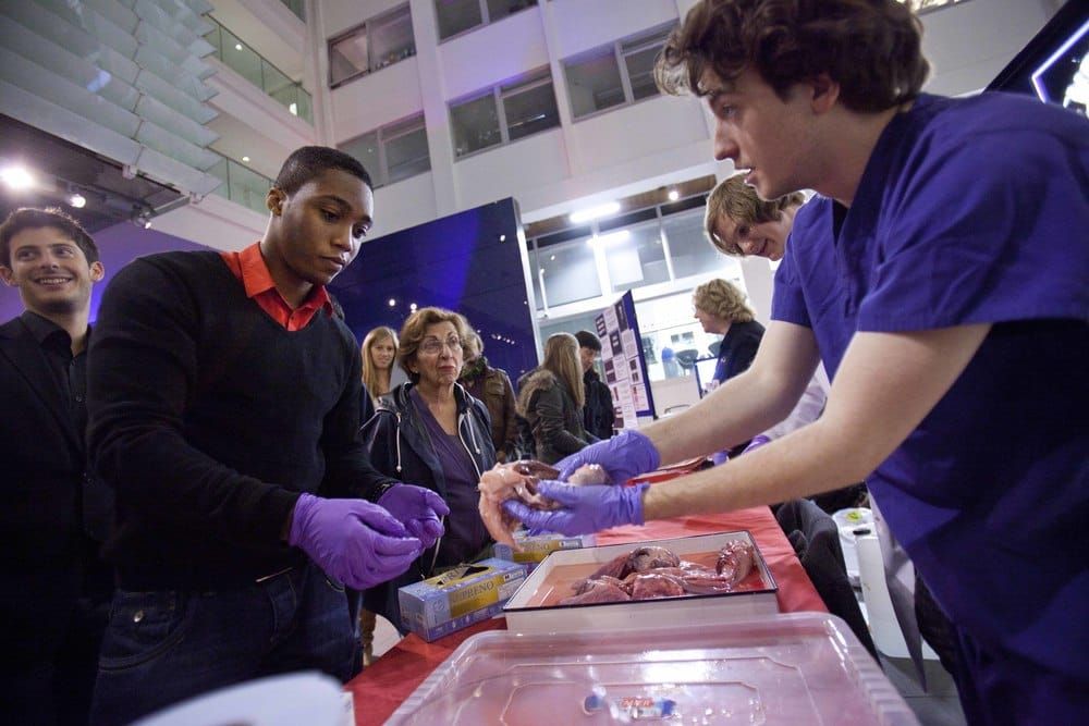 Make no bones about Imperial Fringe