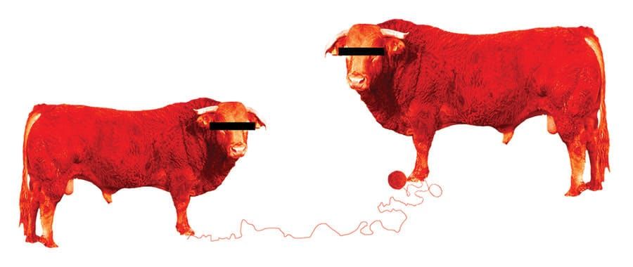 Minotaurs and major excursions