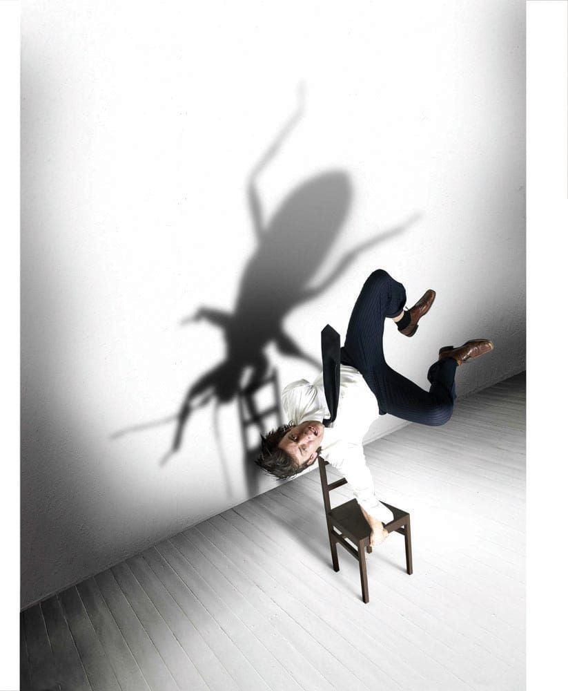 Taking the carapace