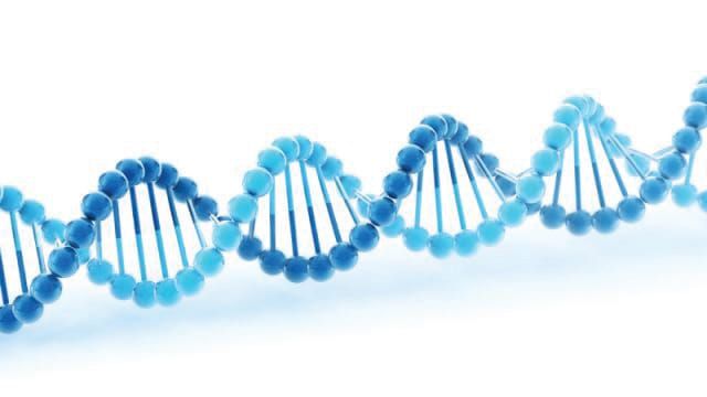 Shakespeare’s sonnets encoded in DNA