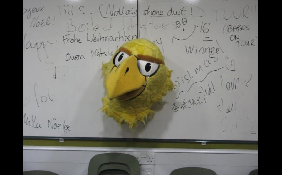 Flight of the Phoenix!