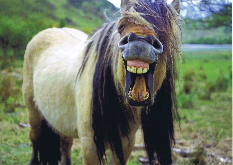 Riding through Europe