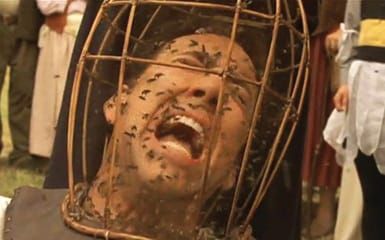 Not the bees! Not the bees! Neonicotinoid ban comes with a sting