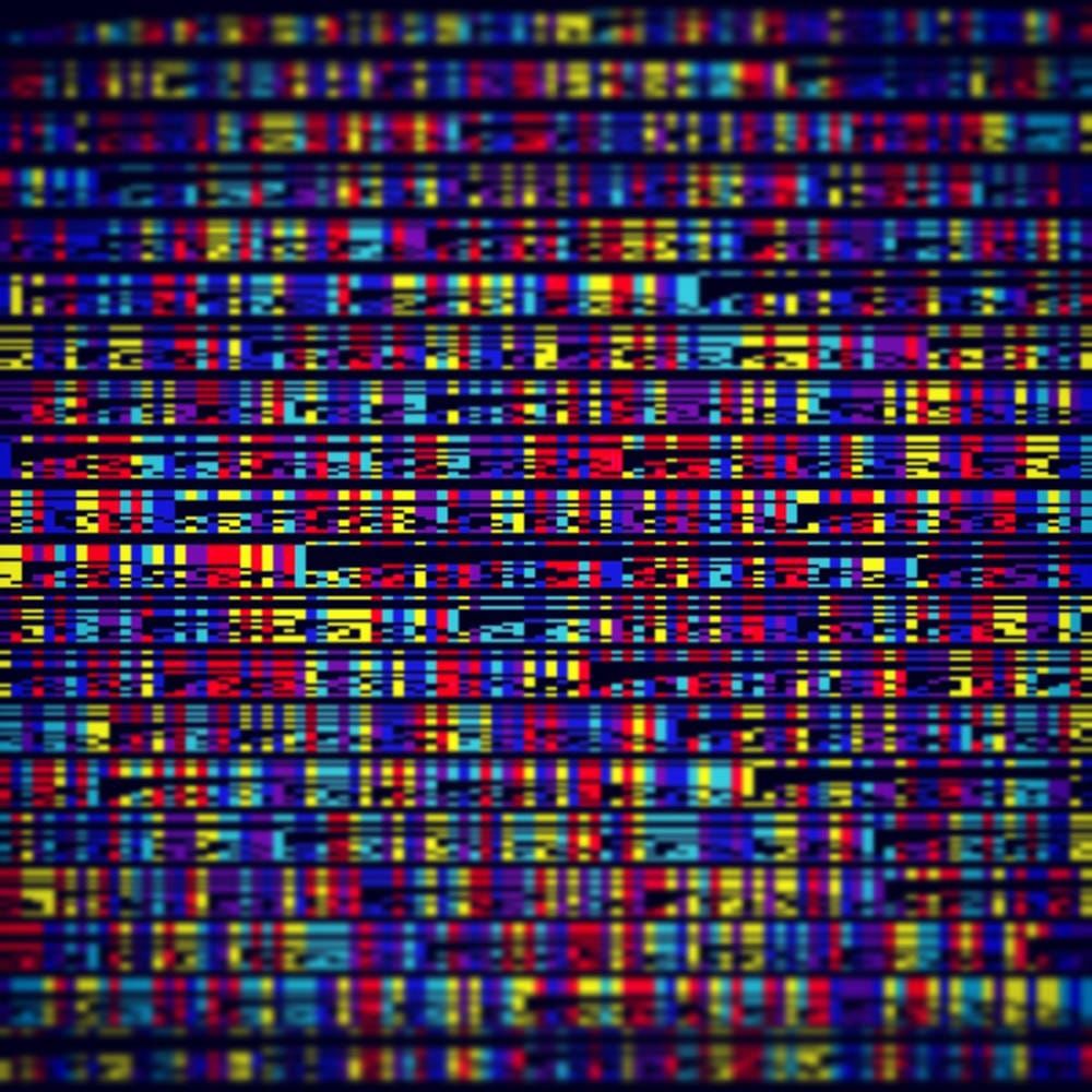 Primes, primes everywhere!