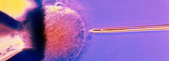 Hype, hope and headlines