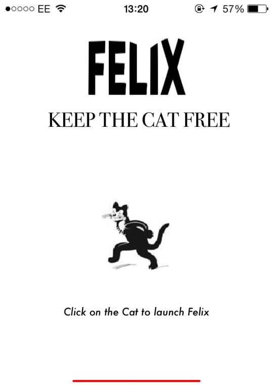 Felix on the move!