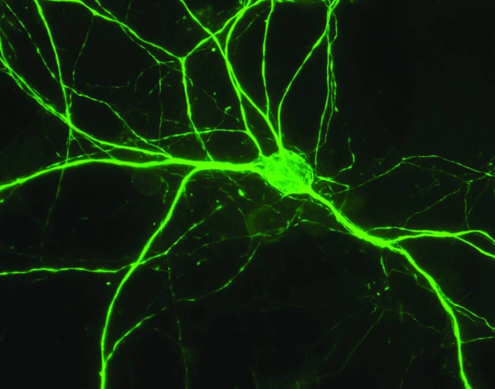 A trip down memory lane