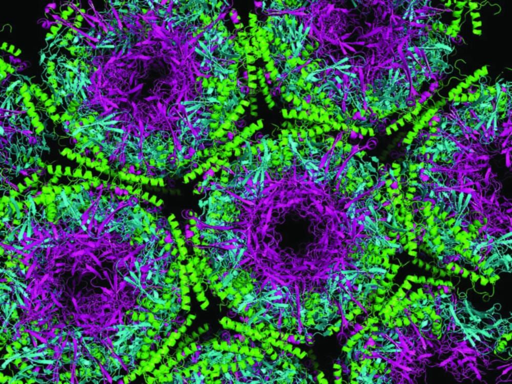 Do you want brains with that?