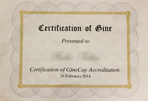 Discovering Miso-gine-soc