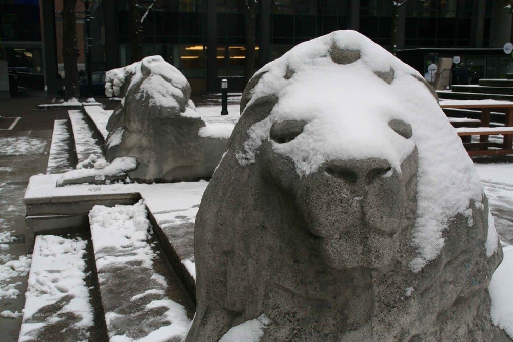 Here’s what you may have missed! Felix wraps up a stellar 2014