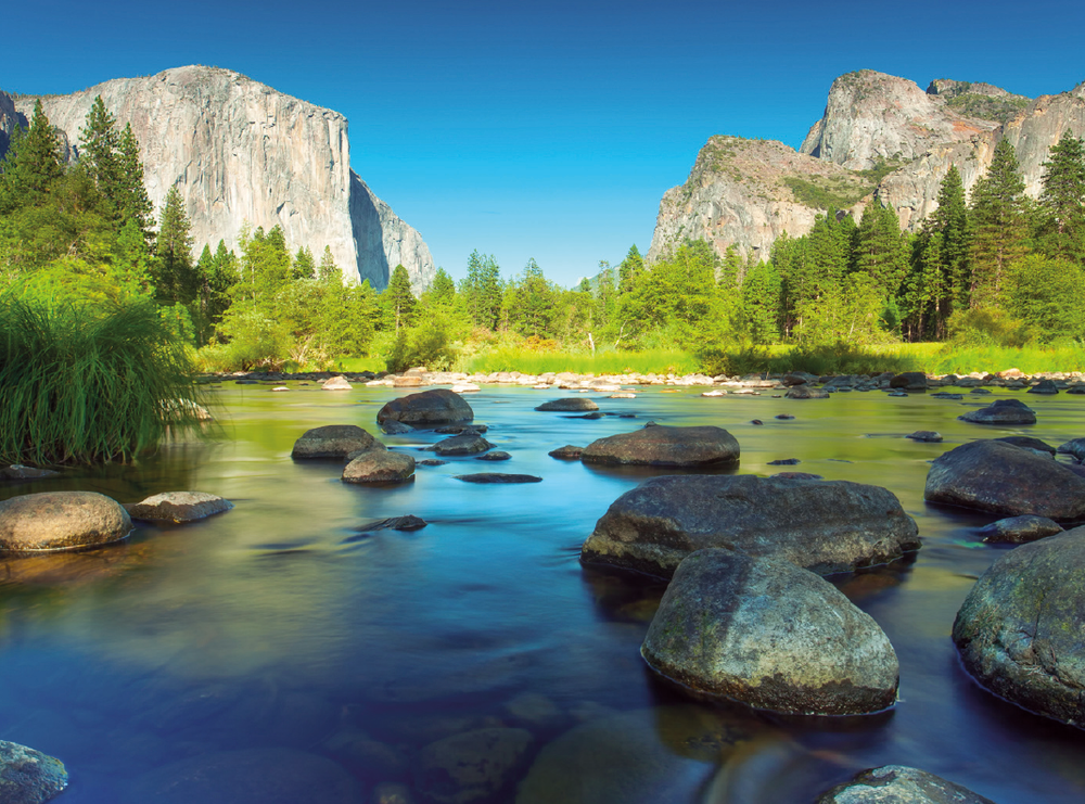 Could College pay for your next holiday?