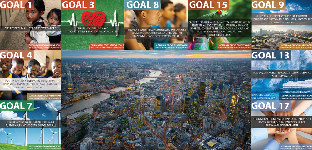 International Development in a Changing World