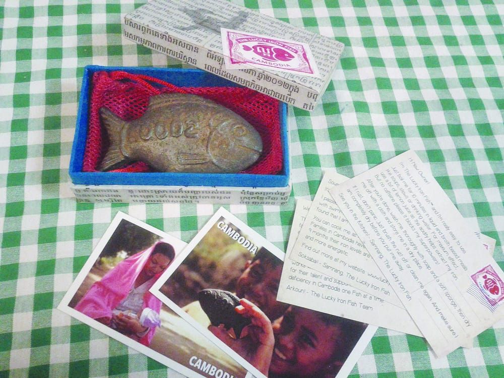 Iron supplement safety questioned