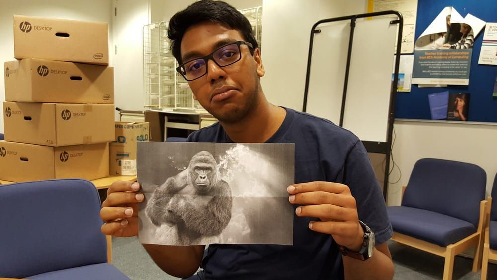 Harambe vigil in Hyde Park