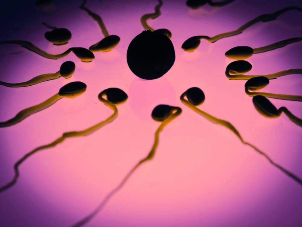 Will sperm ever be stopped?