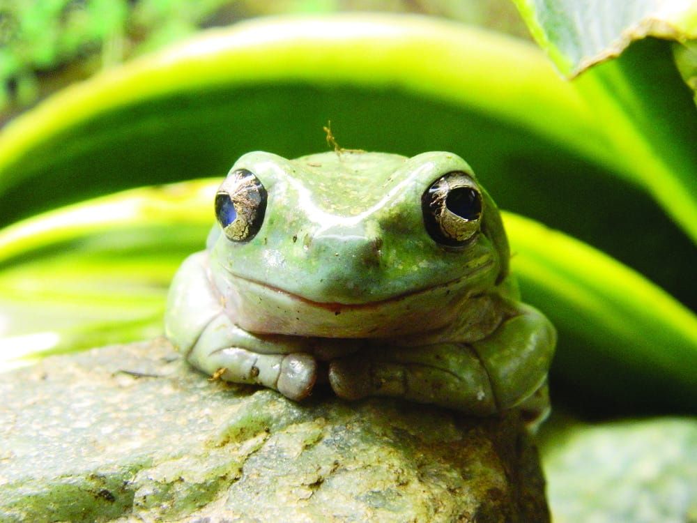 What’s really in your meal?