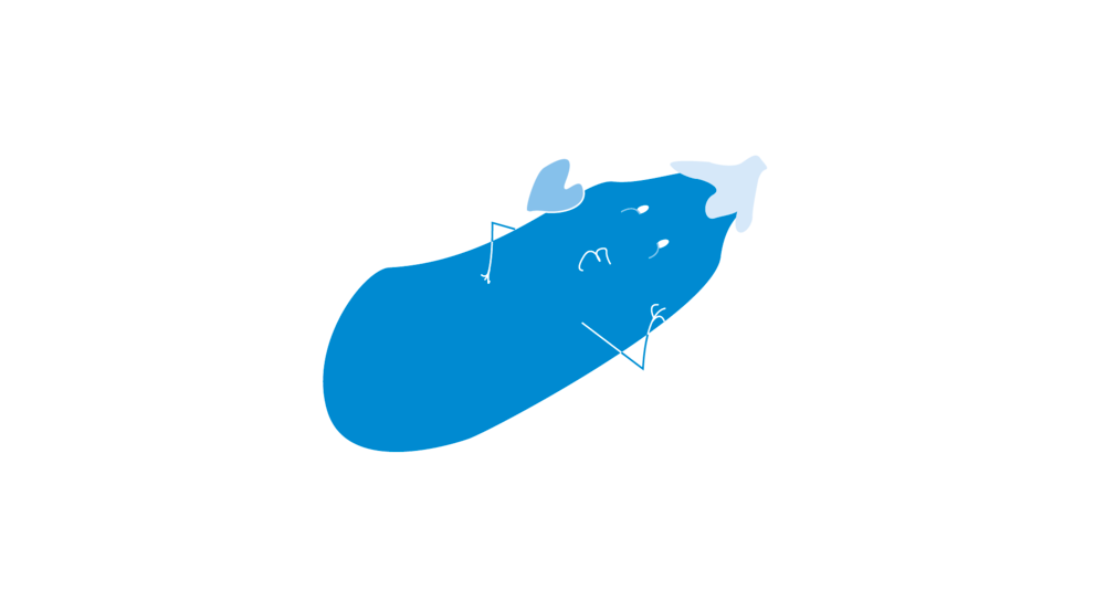 Aubergines and their many uses