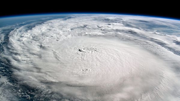 Did global warming cause the Florida hurricanes?