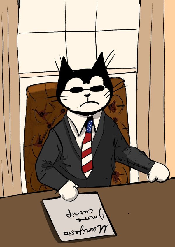 Feb Senton runs for President