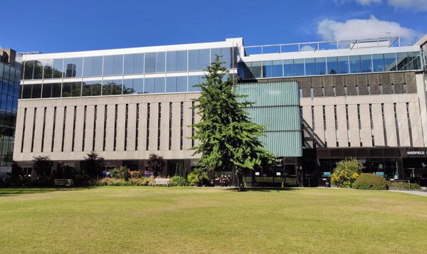 15.6 students fighting for each library seat