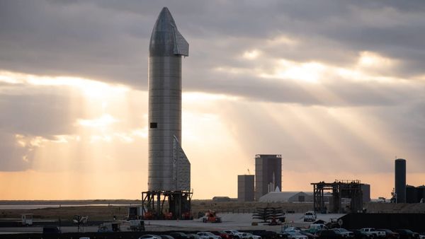 This Week In Science (14/03/2025)