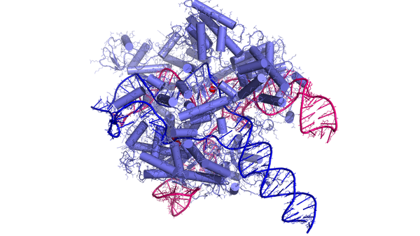 CRISPR therapy saves infant with rare metabolic disorder
