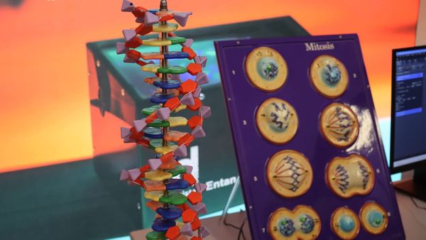 From research on plastics to malaria: the Great Exhibition Road Festival returns