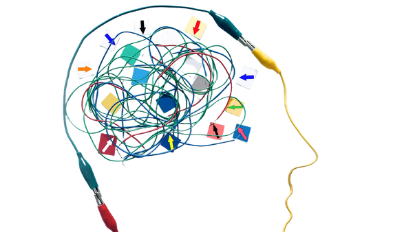 Imperial team test “Mother Nature’s” mental health solution