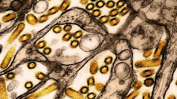 The changing face of  infectious diseases in the UK