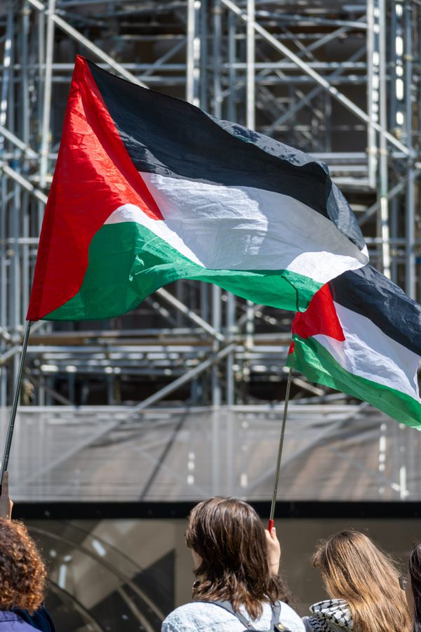 Palestine protests ramp up as year ends and tensions rise